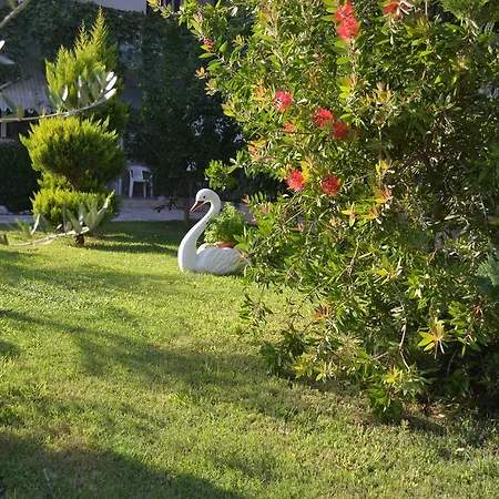 Artemis * Dioniszíu-part